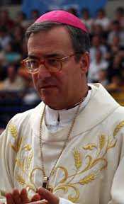 D. António José da Rocha Couto, Bispo de Lamego