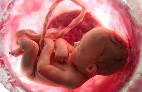 31 Semanas De Embarazo El Bebe Se Acomoda