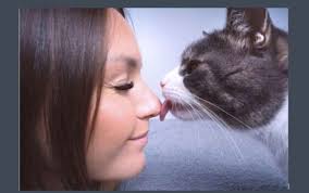 Šie ir 3 galvenie iemesli, kāpēc kaķis laiza savu saimnieku