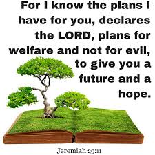 Plans For Welfare And Not For Evil To Give You A Future And A Hope Jeremiah 29 11 Scripturesunday Biblequotes Jeremiah 29 11 Bible Quotes Jeremiah 29