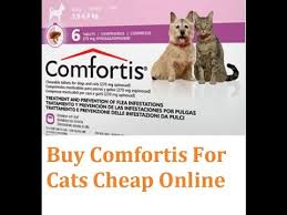 Comfortis Flea Pill Control For Cats Best Price Where To