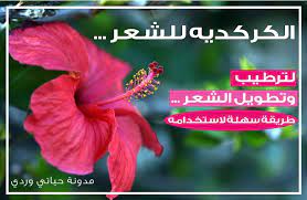 فوائد الكركديه للشعر hair hair loss hibiscus