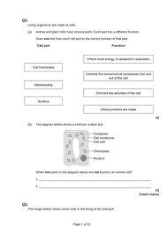 Animal dissection in natural sciences? Gcse Exam Questions On Cell Biology