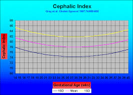 Cephalic Index Ci