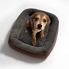 Adatta sia per cani di taglia grande che per cuccioli e animali domestici di piccola taglia, la brandina per cani. Lettini Per Cani Consigli Per L Acquisto A Buon Prezzo E L Utilizzo