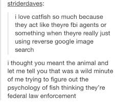 Catfish Told You So Google Image Search Friends Funny