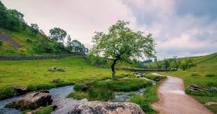 Kumpulan gambar pemandangan terindah di dunia pemandangan alam gunung hutan pohon paling cantik. Download Foto Pemandangan Alam Yang Indah