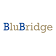 Blubridge logo