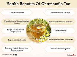 A children's herb first off, chamomile is an excellent children's herb. Benefits Of Chamomile Tea And Its Side Effects Lybrate