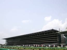 【グリーンチャンネルC結果】唯一の3歳馬ドンエレクトスが ...