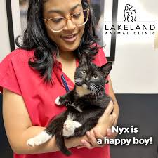 Prevent Rabies in Pets with Vaccinations and Safety Tips