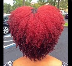 Pin Em Natural Hair Dyed