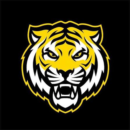 Dalhousie Tigers