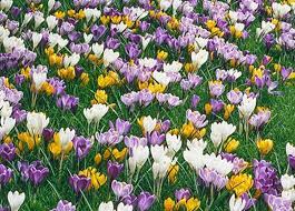 Brandie is so so so talented! Amy S Flowers Home Facebook