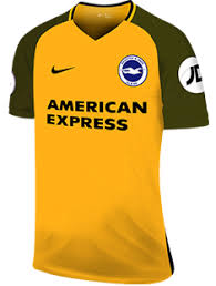 Brighton Hove Albion Fc Season History Premier League