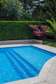 Pooltreppe Mit Liegebereich Pool Im Garten Gartenpools Pool