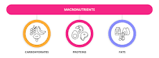 Image result for what is the difference between a macronutrient and a micronutrient? course hero