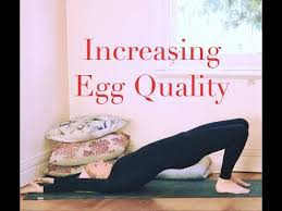 Yoga For Fertility Full Length Class Increasing Egg Quality With Yogayin Youtube Fertility Yoga Egg Quality Fertility