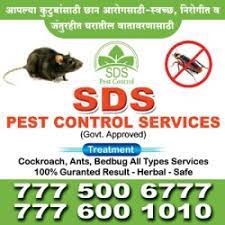 Just the mention of bed bugs is enough to make your skin crawl. Sds Pest Control Services Kothrud Residential Pest Control Services In Pune Justdial
