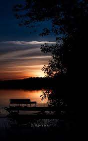 Wallpaper Night Tree Sky Sunset Evening Amazing Hd Wallpapers Pretty Pictures Wallpaper