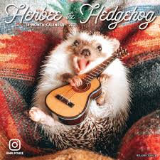 2021 Monthly Wall Calendar Herbee The Hedgehog Willow Creek Press In 2020 Super Cute Animals Cute Little Animals Cute Animals