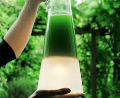 Green Light Co2 Water Power Algae Energy Eco Lamp Alternative Energy Green Power Renewable Energy