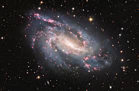 Ngc 1398 es una galaxia espiral barrada. Ngc 2608 Galaxia Mahdi Zamani Sci Ngc 2608 Is A Spiral Galaxy In The Cancer Constellation