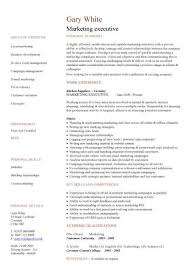 Marketing Executive Cv Sample Job Description Sales Campaigns Job Application Cvs Networking