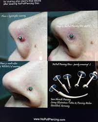 Pin On Body Mods