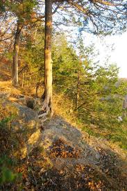 The backbone trail is less than a mile but provides rocky terrain unlike anywhere else in iowa. Take A Hike Nine Hiking Trails