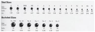 Hornady black 12 gauge #00 buckshot Practical Guide To The Tactical Shotgun