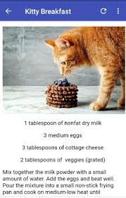 It's not really as simple as handing him a piece of meat, try this easy recipe! Easy Homemade Cat Food Recipes For Android Apk Download