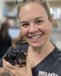 Midlakes Veterinary Hospital