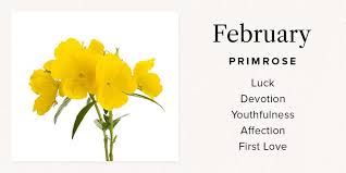Maybe you would like to learn more about one of these? Your Birth Month Flower And What It Means Bouqs Blog