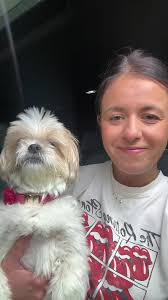 Shih Tzu Teddy Brear Haircut