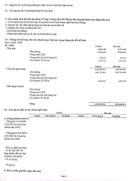 BCTC tổng hợp quý 1.2024