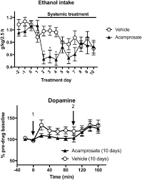 We did not find results for: Acamprosate S Ethanol Intake Reducing Effect Is Associated With Its Ability To Increase Dopamine Sciencedirect