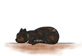 # mrw # thank you # thank # grateful # ty. Cat Thank You Gif By Itsuyaya On Deviantart