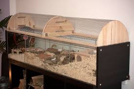 Img 9207bearb Jpg 800 533 Pixels Hamster Diy Hamster Habitat Hamster Diy Cage