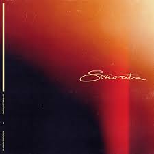 Senorita Shawn Mendes And Camila Cabello Song Wikipedia Shawn mendes is growing a beard shawn mendes shawn mendes. shawn mendes and camila cabello song