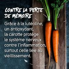 Epingle Sur Nutrition