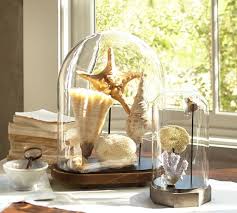Shell Cloche Home Decor Sale Unique Home Decor Home Accessories