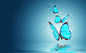Blue Butterfly Water Reflection Blue Butterfly Water Reflection Is An Hd Desktop Wallpaper Butterfly Wallpaper Blue Butterfly Wallpaper Butterfly Background