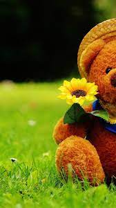 They add glamor to your computer and make it look aesthetically appealing and highly presentable. Wallpaper Teddy Bear Iphone Best Hd Wallpapers Teddy Bear Wallpaper Teddy Bear Teddy Bear Pictures