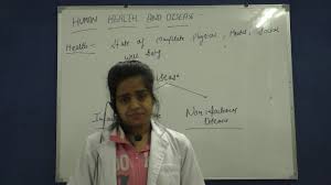 If animal and plant cells are kept in hypertonic. What Happen If We Put An Animal Cell Or Plant Cell Into A Solution Of Sugar Or Salt In Water Youtube