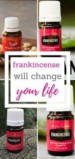 Frankincense Oil Frankincense Essential Oil Frankincense Essential Oil Uses Frankincense E Essential Oils Essential Oils Aromatherapy Living Essentials Oils