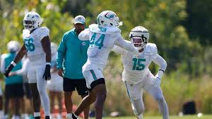 Chop Robinson Injury: Dolphins LB Carted Off the Field During Practice