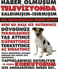 Neden Gercek Neden Hakaret Gercekler