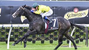 Cintia Cosio OnlyFans explicit nude photos