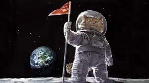 Get inspired by our community of talented artists. Foto Erde Humor Hauskatze Astronauten Kosmos Mond Tiere